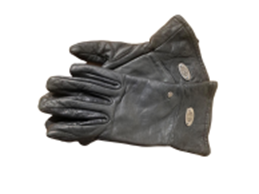 Harley Davidson Gloves